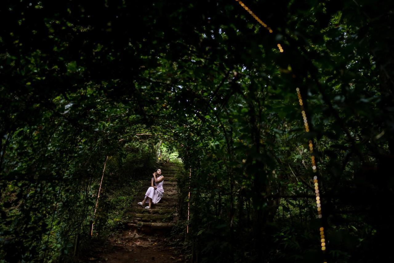 Raindrops Resorts Wayanad Szultán Bathery Kültér fotó