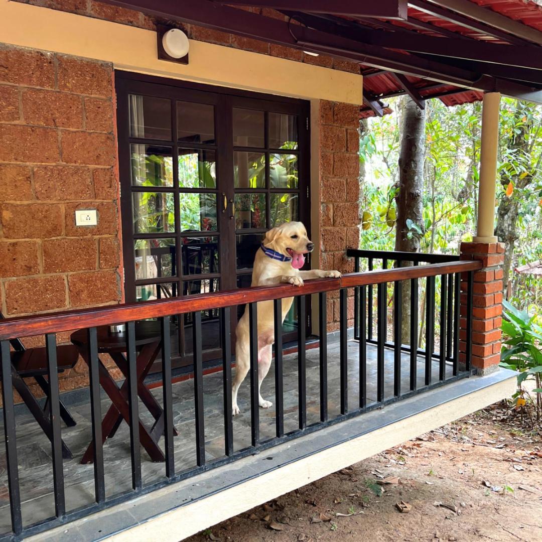 Raindrops Resorts Wayanad Szultán Bathery Kültér fotó