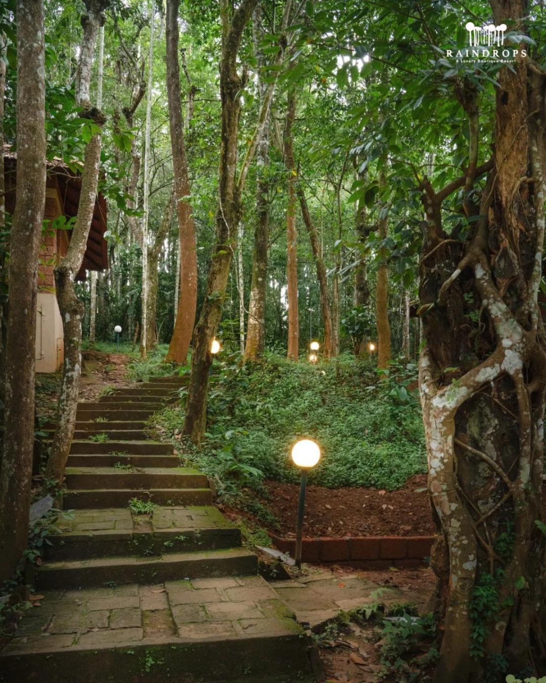 Raindrops Resorts Wayanad Szultán Bathery Kültér fotó